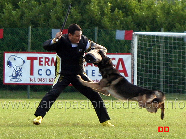 ivan-di-casa-libardi-15.jpg - Ivan di Casa Libardi (C punti 95)