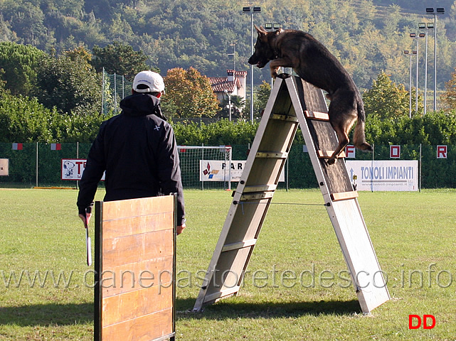 iwan-di-casa-nosella-08.jpg - Iwan di Casa Nosella (B punti 89)