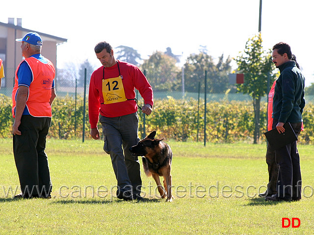 luca-ganzerla-con-mogli-traunauweg-03.jpg - Luca Ganzerla con Mogli Traunauweg (B punti 88)