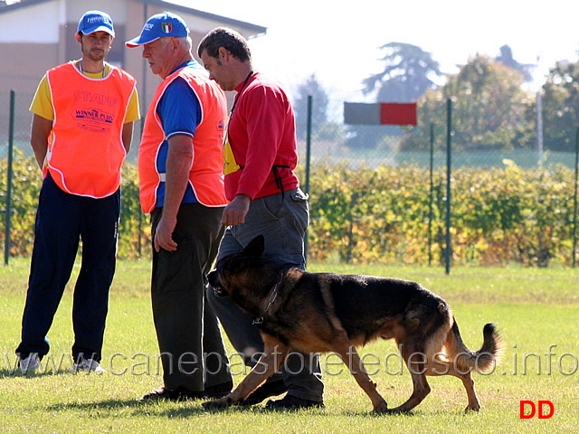 luca-ganzerla-con-mogli-traunauweg-04.jpg - Luca Ganzerla con Mogli Traunauweg (B punti 88)