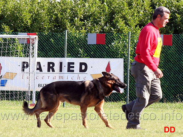 luca-ganzerla-con-mogli-traunauweg-09.jpg - Luca Ganzerla con Mogli Traunauweg (B punti 88)