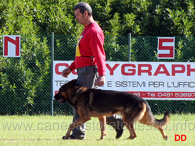 luca-ganzerla-con-mogli-traunauweg.jpg - Luca Ganzerla con Mogli Traunauweg (B punti 88)