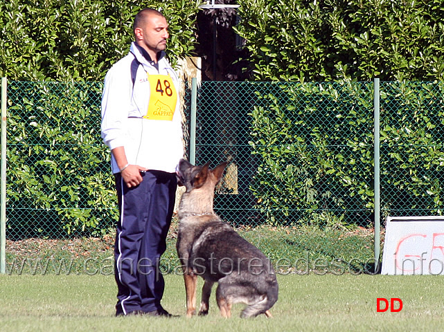 marco-corvaia-con-ghena-della-decima-mas-02.jpg - Marco Corvaia con Ghena della Decima Mas (B punti 70)