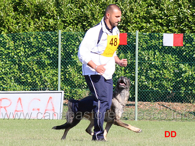 marco-corvaia-con-ghena-della-decima-mas-04.jpg - Marco Corvaia con Ghena della Decima Mas (B punti 70)