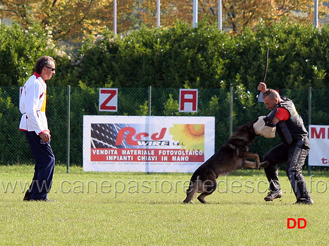 mauro-frison-con-y-polo-aus-der-konigshole-05.jpg - Mauro Frison con Y Polo aus der Konigshole (C punti 95)