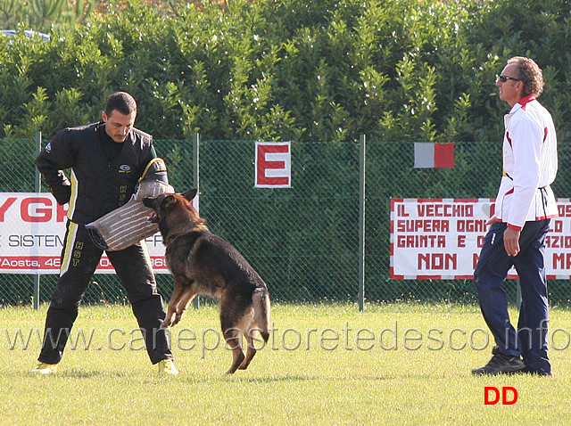 mauro-frison-con-y-polo-aus-der-konigshole-08.jpg - Mauro Frison con Y Polo aus der Konigshole (C punti 95)