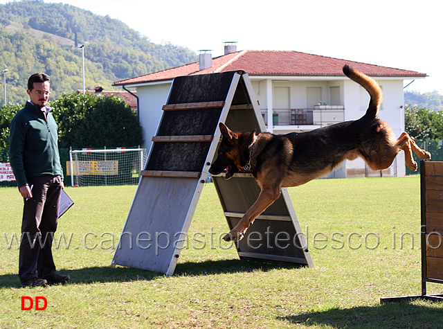 mogli-vom-traunauweg-04.jpg - Mogli Traunauweg (B punti 88)