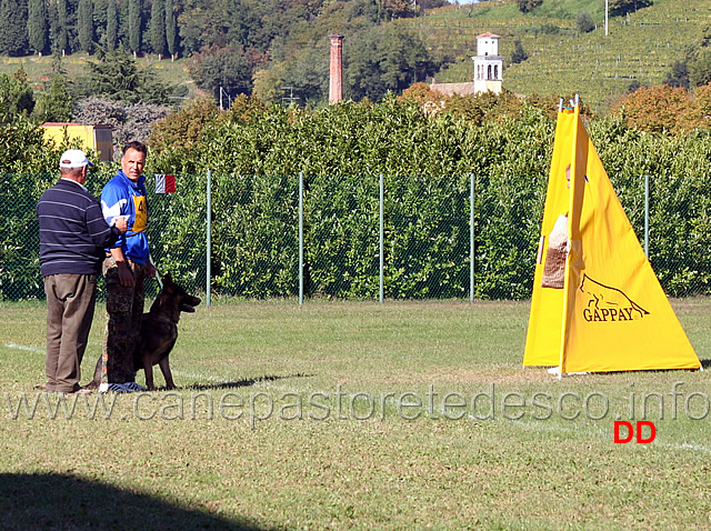 pierluigi-diamanti-con-trex-della-zattera-04.jpg - Pierluigi Diamanti con Trex della Zattera (C punti 80)