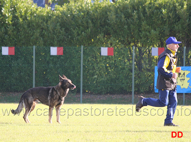 pietro-de-piccoli-con-ex-08.jpg - Pietro De Piccoli con Ex (B punti 88)