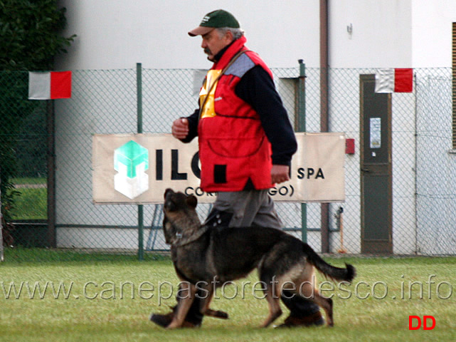 renzo-kocina-con-vinie-di-dranael.jpg - Renzo Kocina con Vinie di Dranael (B punti 70)