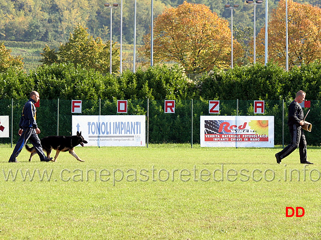 valerio-aprea-con-yukon-roderburg-03.jpg - Valerio Aprea con Yucon von der Roderburg (C punti 78)