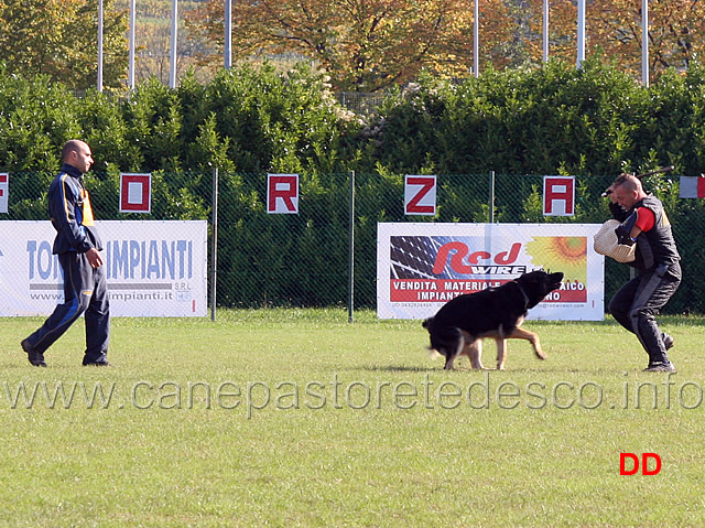 valerio-aprea-con-yukon-roderburg-04.jpg - Valerio Aprea con Yucon von der Roderburg (C punti 78)