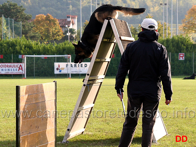 vasco-von-lastal-09.jpg - Vasco von Lastal (B punti 87)