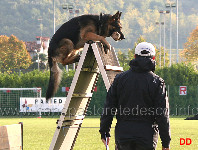 vasco-von-lastal-12.jpg - Vasco von Lastal (B punti 87)