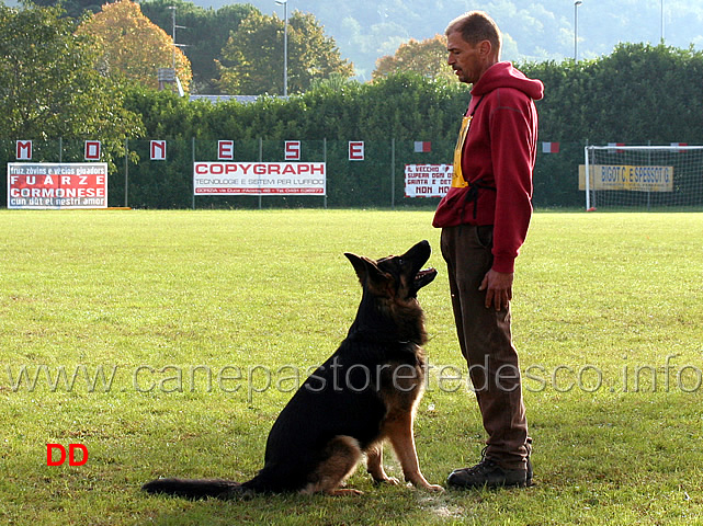 werner-runggaldier-con-vasco-lastal-13.jpg - Werner Runggaldier con Vasco von Lastal (B punti 87)