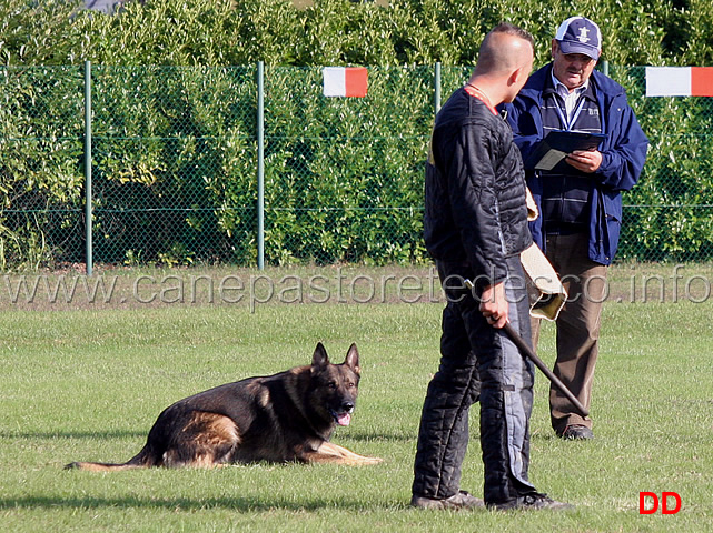 y-polo-aus-der-konigshole-07.jpg - Y Polo aus der Konigshole (C punti 95)