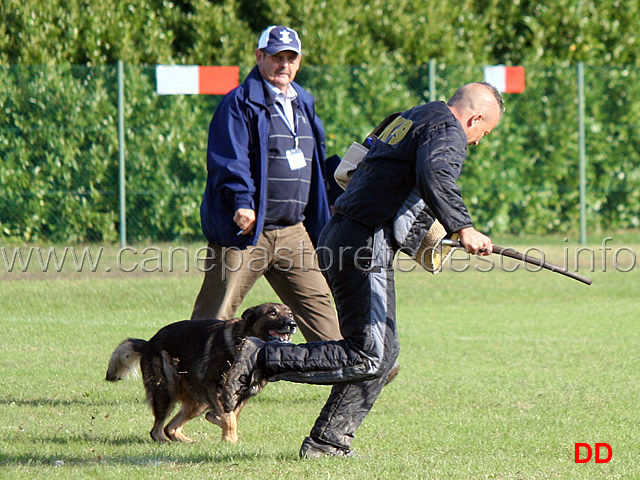 y-polo-aus-der-konigshole-08.jpg - Y Polo aus der Konigshole (C punti 95)