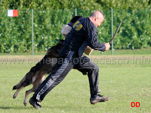 y-polo-aus-der-konigshole-09.jpg - Y Polo aus der Konigshole (C punti 95)