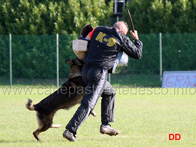 y-polo-aus-der-konigshole-11.jpg - Y Polo aus der Konigshole (C punti 95)