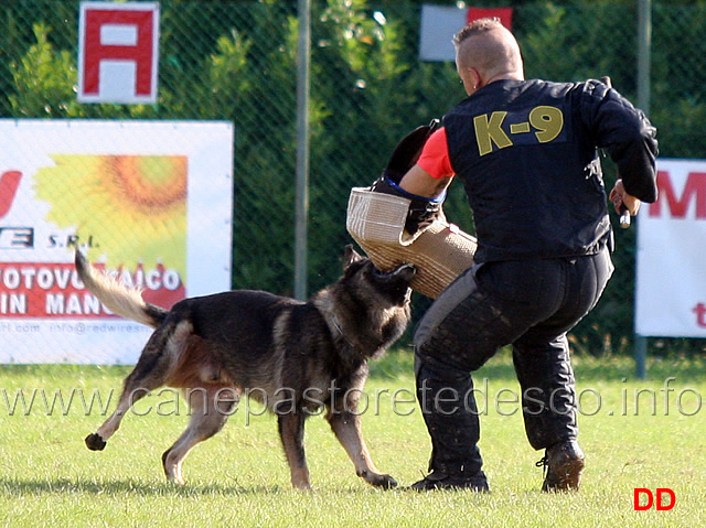 y-polo-aus-der-konigshole-16.jpg - Y Polo aus der Konigshole (C punti 95)