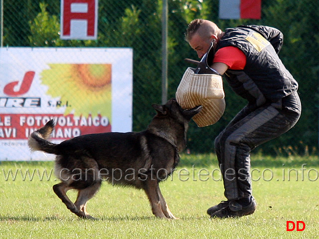 y-polo-aus-der-konigshole-17.jpg - Y Polo aus der Konigshole (C punti 95)