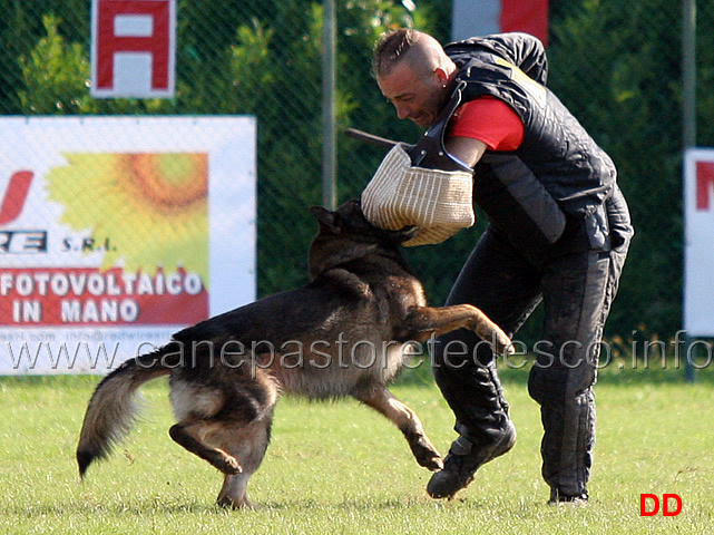 y-polo-aus-der-konigshole-18.jpg - Y Polo aus der Konigshole (C punti 95)