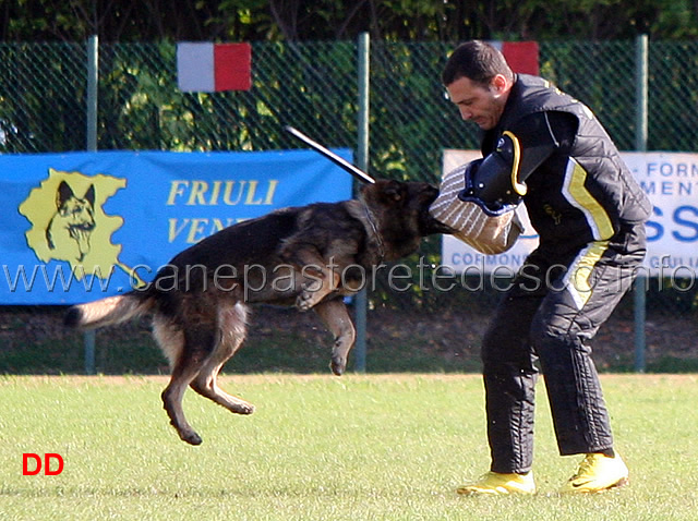 y-polo-aus-der-konigshole-21.jpg - Y Polo aus der Konigshole (C punti 95)