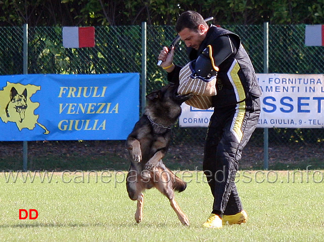 y-polo-aus-der-konigshole-23.jpg - Y Polo aus der Konigshole (C punti 95)