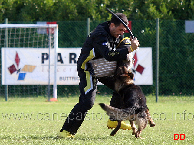 y-polo-aus-der-konigshole-27.jpg - Y Polo aus der Konigshole (C punti 95)