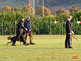 giovanni-bruno-con-querry-di-oroval-02