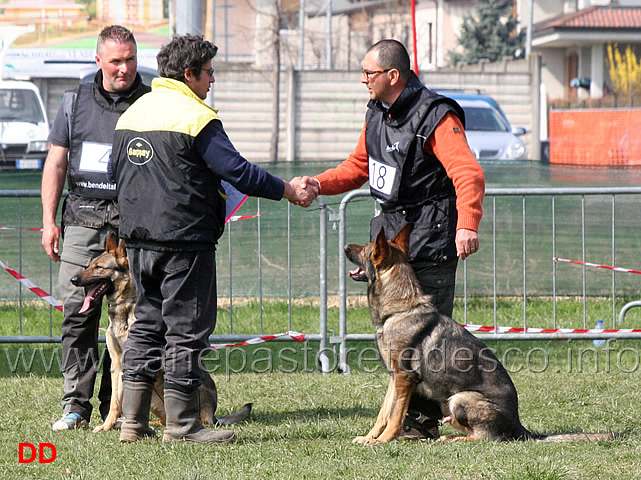 IPO1-gianpiero-cocciolone-con-zara-e-massimo-cappai-con-ronny-di-croce-santo-spirito-02.jpg - IPO1 Giampiero Cocciolone con Zara e Massimo Cappai con Ronny di Croce Santo Spirito pronti per gli esercizi di obbedienza