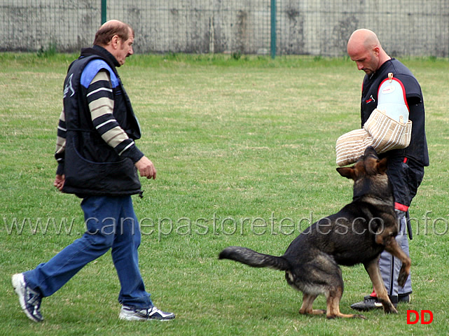 alberto-leonardelli-con-hex-della-zattera-C87-IPO3-04.jpg - Alberto Leonardelli con Hex della Zattera IP3 (C punti 87)