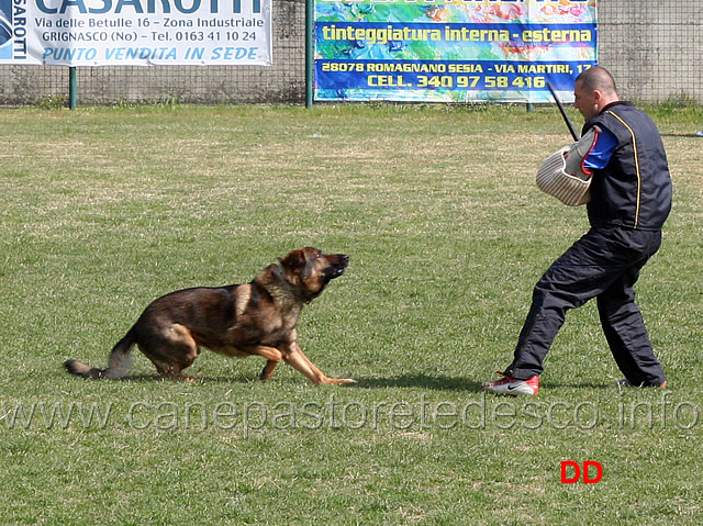 aragorn-della-decima-mas-C89-IPO2-06.jpg - Aragorn della Decima Mas IPO2 ( C punti 89 )