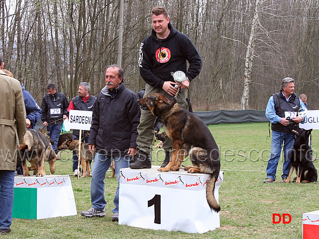 carlo-damian-fella-con-xedro-di-casa-simo-miglior-pista-IPO1.jpg - Carlo Damian Fella con Xedro di Casa Simo miglior pista in IPO1