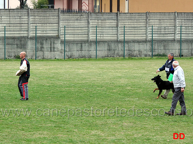 daniele-barbanera-con-asso-della-decima-mas-C94-IPO3-02.jpg - Daniele Barbanera con Asso della Decima Mas IPO3 (C punti 94)