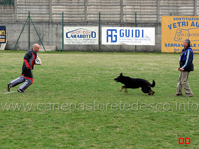 daniele-barbanera-con-asso-della-decima-mas-C94-IPO3-04.jpg - Daniele Barbanera con Asso della Decima Mas IPO3 (C punti 94)