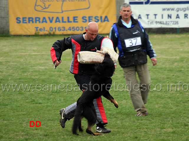 daniele-barbanera-con-asso-della-decima-mas-C94-IPO3-05.jpg - Daniele Barbanera con Asso della Decima Mas IPO3 (C punti 94)