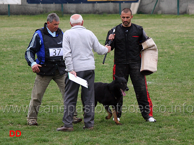 daniele-barbanera-con-asso-della-decima-mas-C94-IPO3-09.jpg - Daniele Barbanera con Asso della Decima Mas IPO3 (C punti 94)