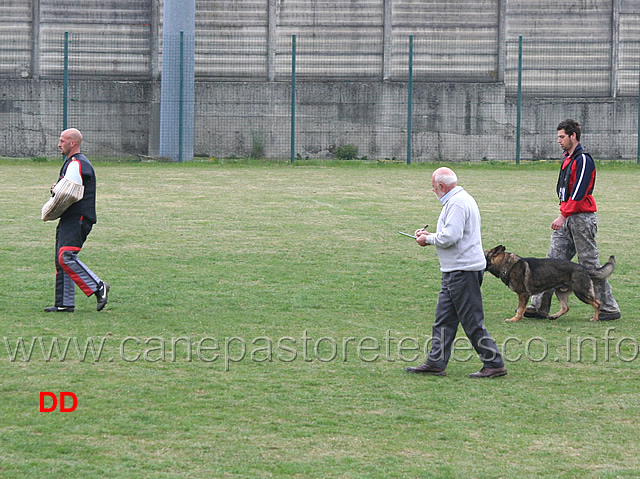 denny-nosella-con-iwan-di-casa-nosella-C91-IPO3-02.jpg - Denny Nosella con Iwan di Casa Nosella IPO3 (C punti 91)