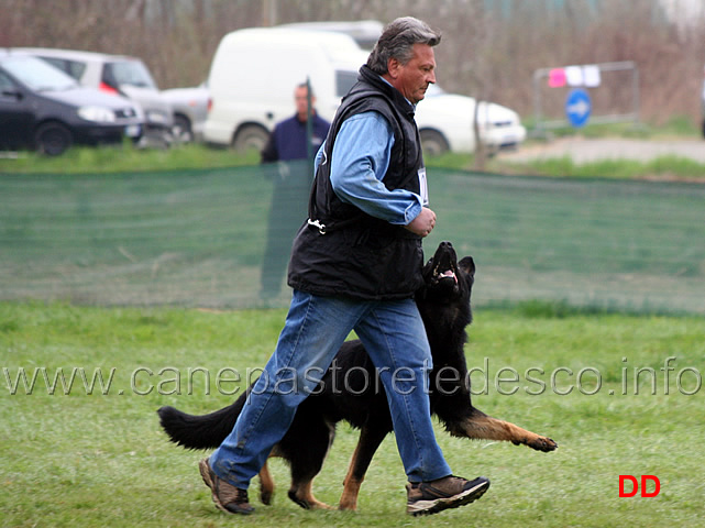 domenico-carnicella-con-vasco-di-casa-libardi-B84-IPO2-02.jpg - Domenico Carnicella con Vasco di Casa Libardi IPO2 (B punti 84)