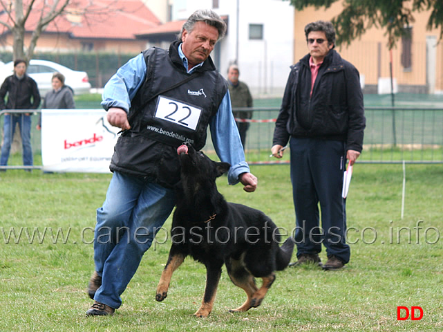 domenico-carnicella-con-vasco-di-casa-libardi-B84-IPO2-04.jpg - Domenico Carnicella con Vasco di Casa Libardi IPO2 (B punti 84)