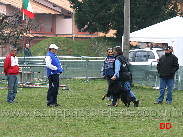 domenico-carnicella-con-vasco-di-casa-libardi-B84-IPO2-05.jpg - Domenico Carnicella con Vasco di Casa Libardi IPO2 (B punti 84)