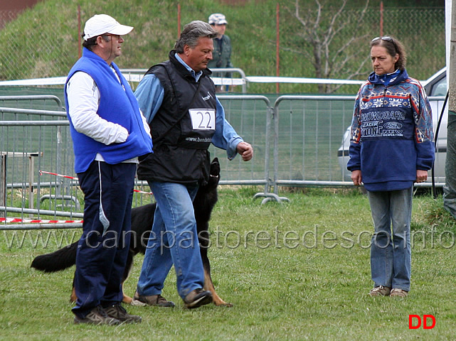 domenico-carnicella-con-vasco-di-casa-libardi-B84-IPO2-06.jpg - Domenico Carnicella con Vasco di Casa Libardi IPO2 (B punti 84)