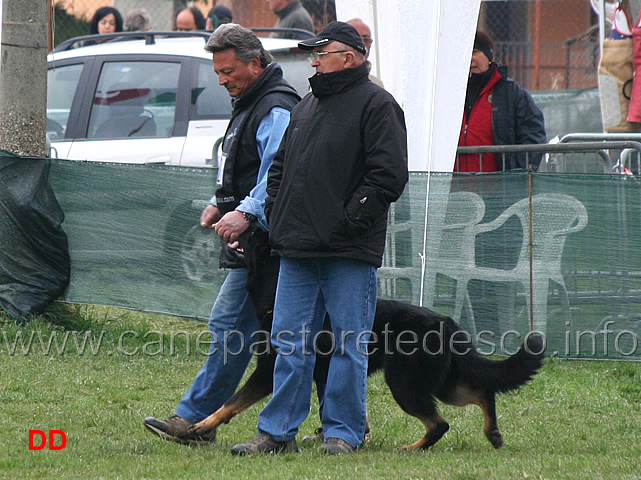 domenico-carnicella-con-vasco-di-casa-libardi-B84-IPO2-07.jpg - Domenico Carnicella con Vasco di Casa Libardi IPO2 (B punti 84)