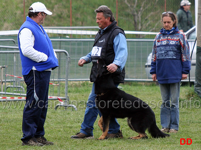 domenico-carnicella-con-vasco-di-casa-libardi-B84-IPO2-09.jpg - Domenico Carnicella con Vasco di Casa Libardi IPO2 (B punti 84)