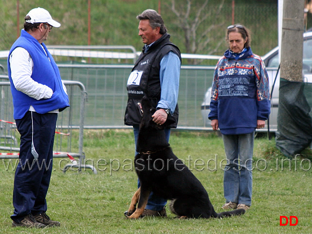 domenico-carnicella-con-vasco-di-casa-libardi-B84-IPO2-10.jpg - Domenico Carnicella con Vasco di Casa Libardi IPO2 (B punti 84)