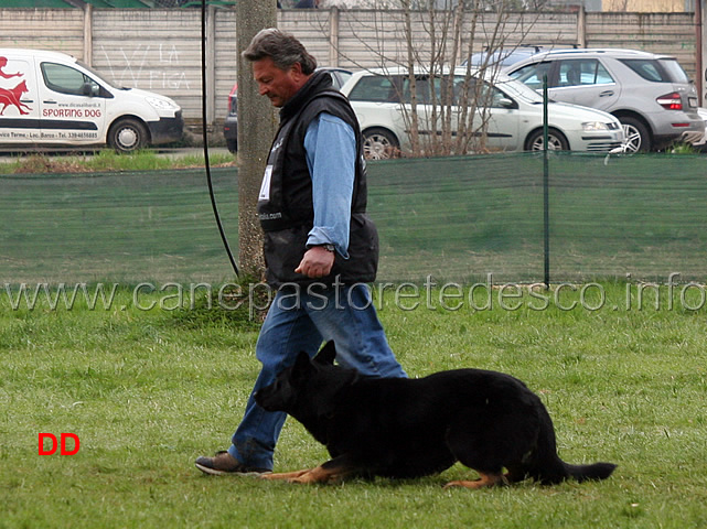 domenico-carnicella-con-vasco-di-casa-libardi-B84-IPO2-12.jpg - Domenico Carnicella con Vasco di Casa Libardi IPO2 (B punti 84)