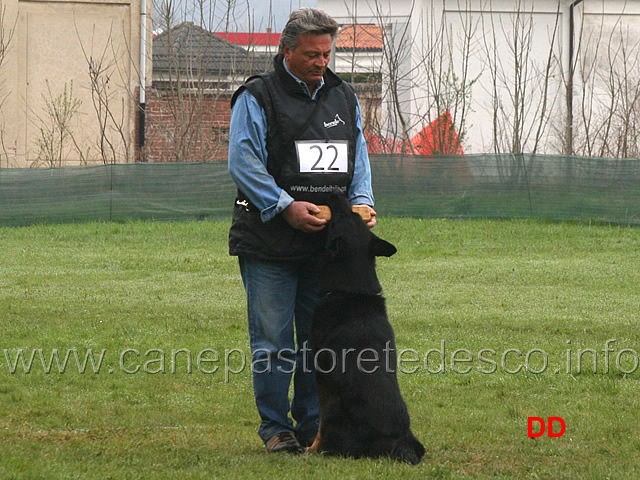 domenico-carnicella-con-vasco-di-casa-libardi-B84-IPO2-13.jpg - Domenico Carnicella con Vasco di Casa Libardi IPO2 (B punti 84)