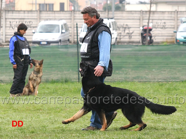 domenico-carnicella-con-vasco-di-casa-libardi-B84-IPO2-14.jpg - Domenico Carnicella con Vasco di Casa Libardi IPO2 (B punti 84)