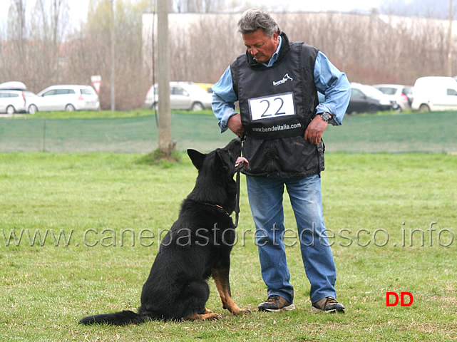 domenico-carnicella-con-vasco-di-casa-libardi-B84-IPO2-16.jpg - Domenico Carnicella con Vasco di Casa Libardi IPO2 (B punti 84)